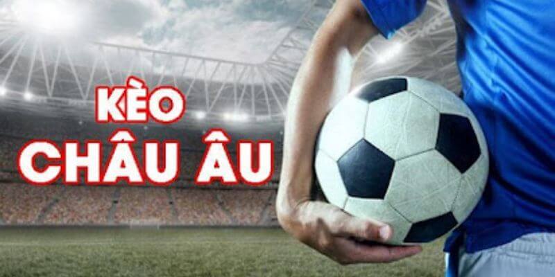 Người Mới Chơi Nên Đặt Kèo Nào
