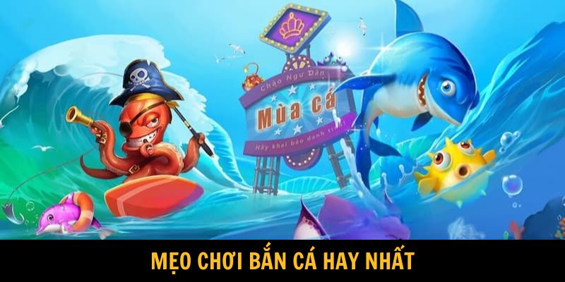 Tại sao người dùng không nên bỏ qua topic này
