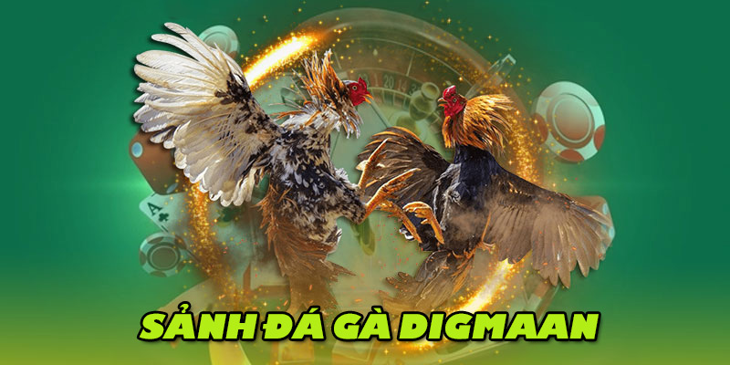 Chọn kèo đá gà thông minh tại sảnh Digmaan