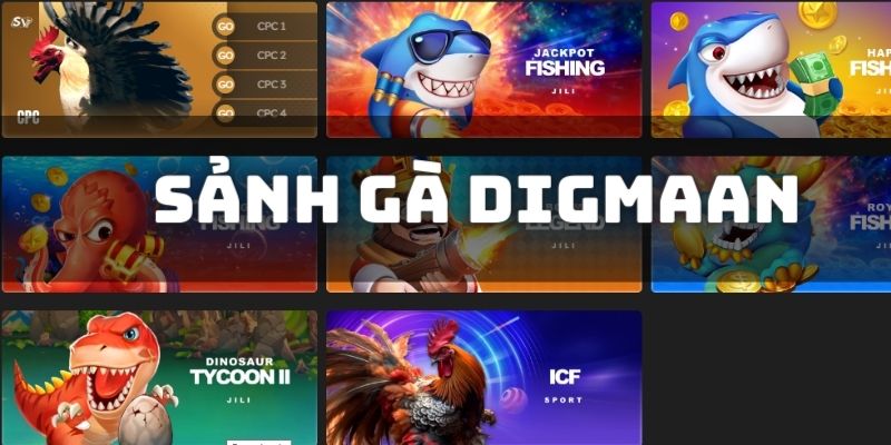 Tận dụng thống kê tại sảnh Digmaan để soi kèo chính xác