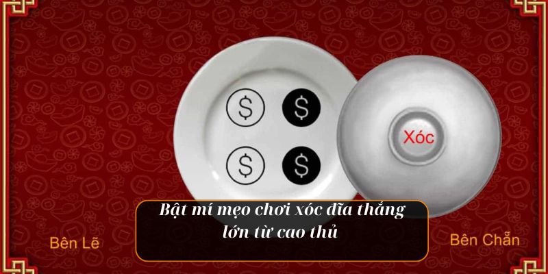 Chiến thuật chơi xóc đĩa xin88 giúp bạn thắng lớn